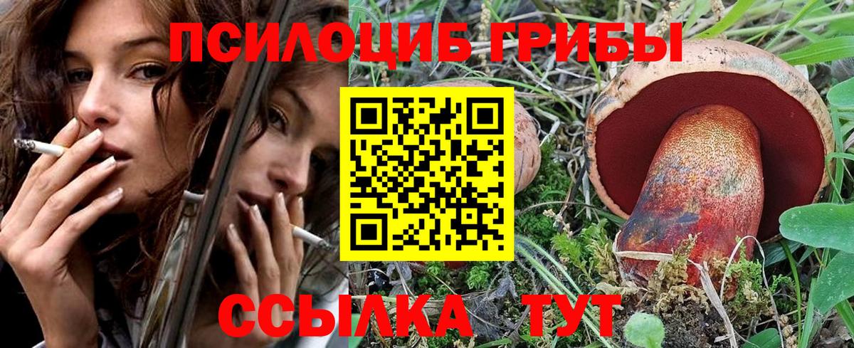 Галлюциногенные грибы Cubensis Протвино