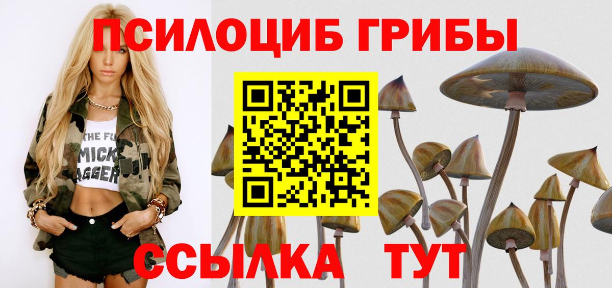 Псилоцибиновые грибы Cubensis  Вход с VPN  Псилоцибиновые грибы прущие грибы  Протвино 